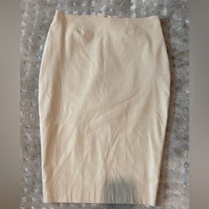 Women’s size 6 pencil skirt